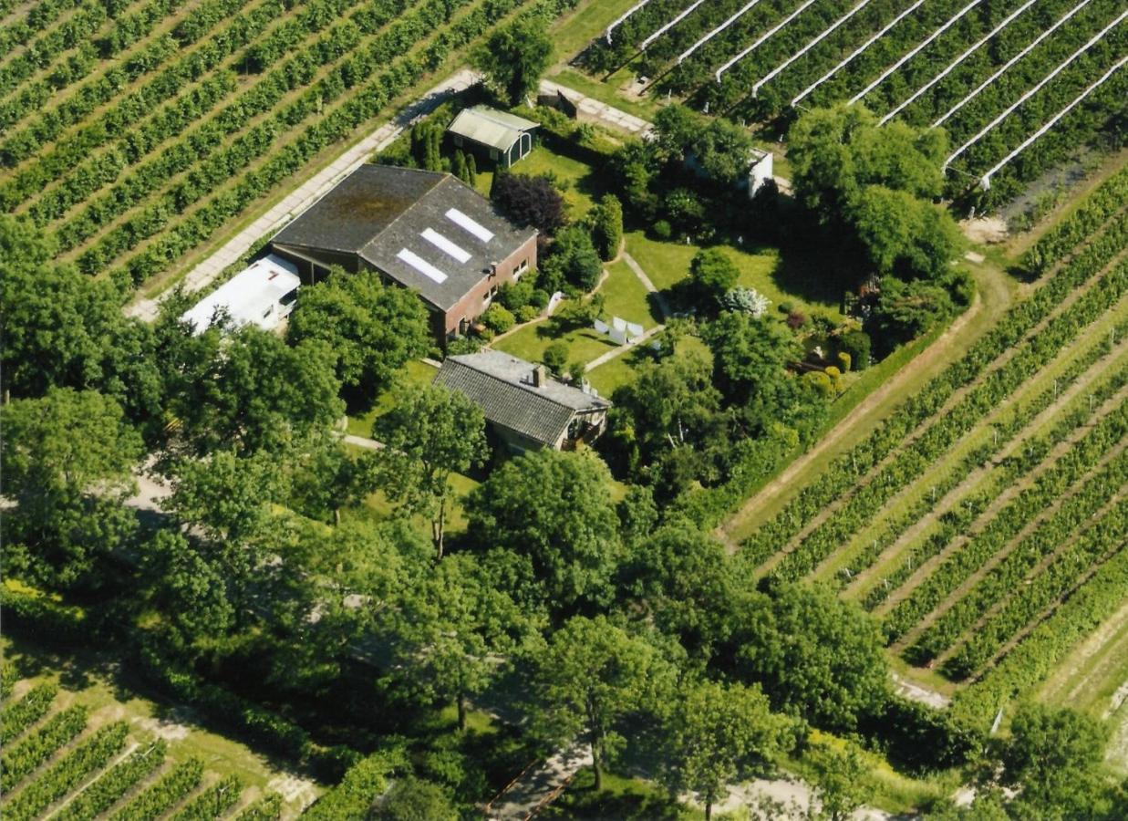 B&B Elbahof, Goed En Goedkoop! Hem 외부 사진