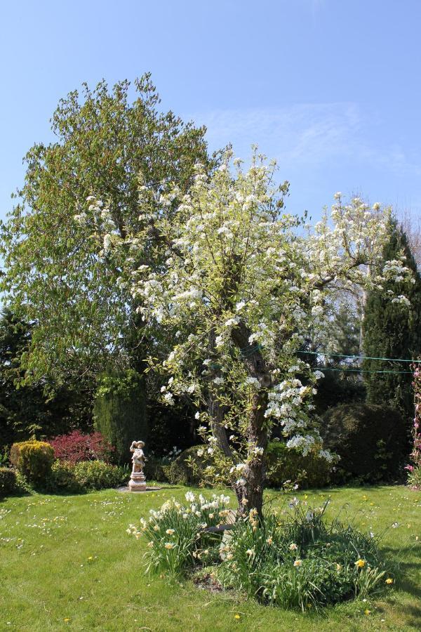 B&B Elbahof, Goed En Goedkoop! Hem 외부 사진